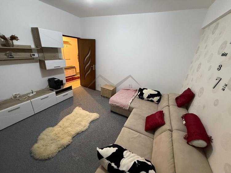 Apartament 1 camera Panoramic- Valea Adanca
