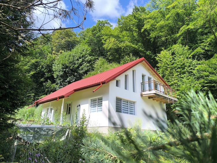 Casa noua Capusu Mare la marginea padurii