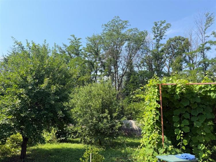Casa din lemn masiv | 3 camere | Teren 5.000mp -Berceni Prahova