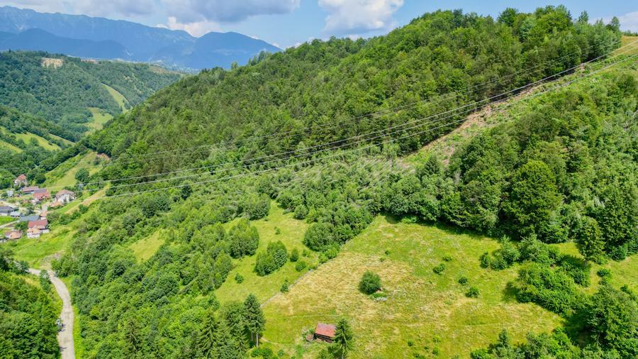 Investitie Smart in Moieciu, 3.1 ha, Panoramă 360 Bucegi - Piatra Craiului