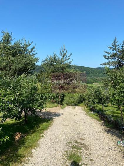 Cabane A frame + Teren 6000 mp |  Proprietate deosebita, NOU - 17