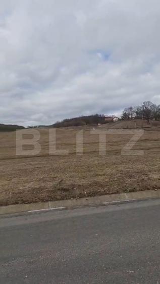 Teren parcelabil, de investitie, 1000-7500 mp in Valea Seaca, Baciu