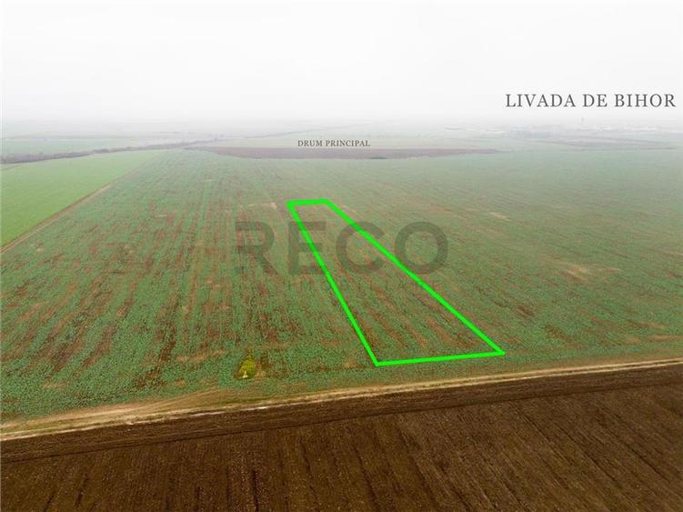 RECO Teren extravilan 5800 mp Livada de Bihor