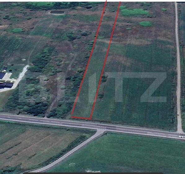 Teren extravilan pentru activități comerciale – Livezile, DN17