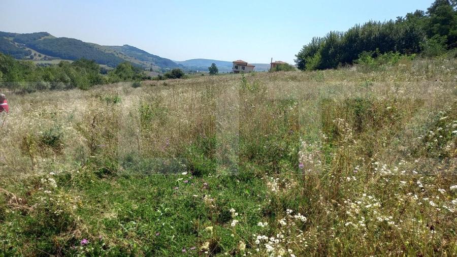 Vand teren extravilan in Stolna suprafata 2550 mp, front 37 utilitati in zona