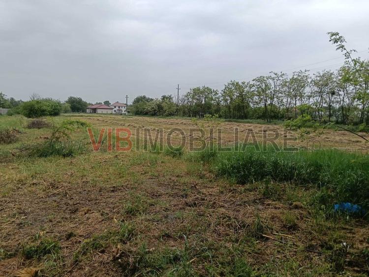 Parța | Teren intravilan 1.230 mp | Vatră sat | Utilități la stradă | Investiție
