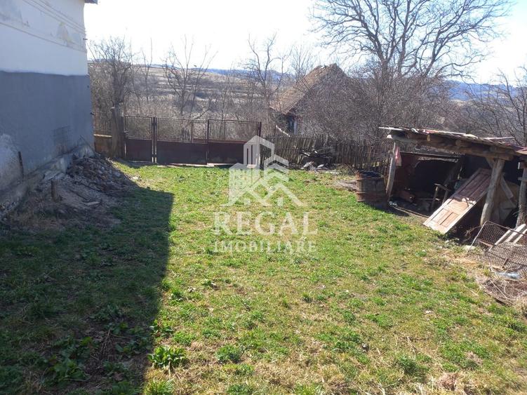 Două case de vânzare – Cerisor – teren generos 6996 mp