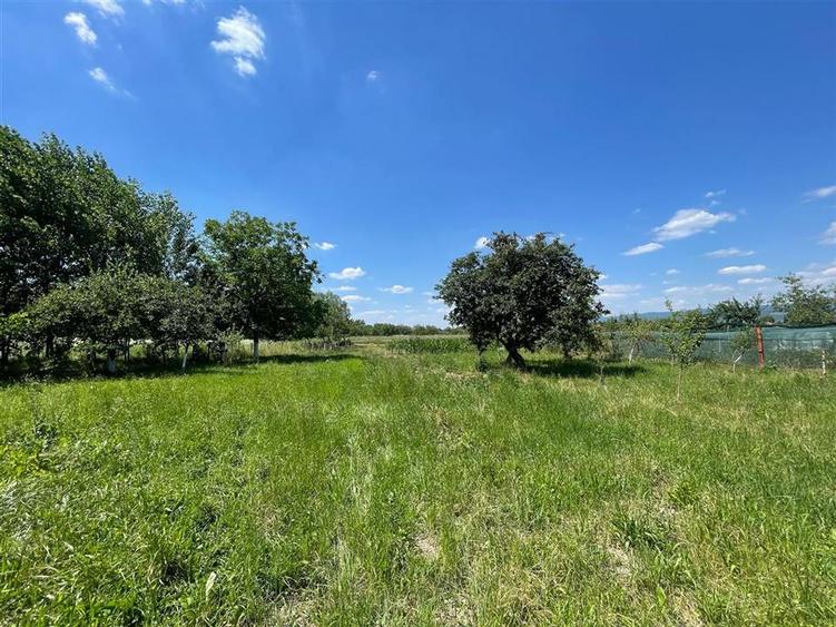 CASA LA TARA | 6770MP TEREN | JOSANI | BIHOR |