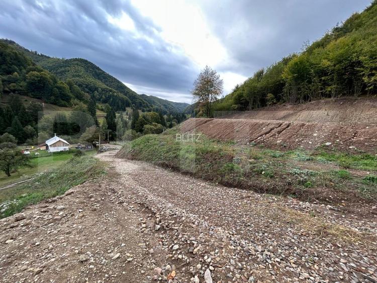 Teren intravilan 1,1 Ha, zona Bargau - 5