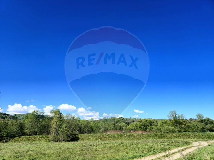 Teren 2,786mp Sighetu Marmatiei / Strada Zimbrului