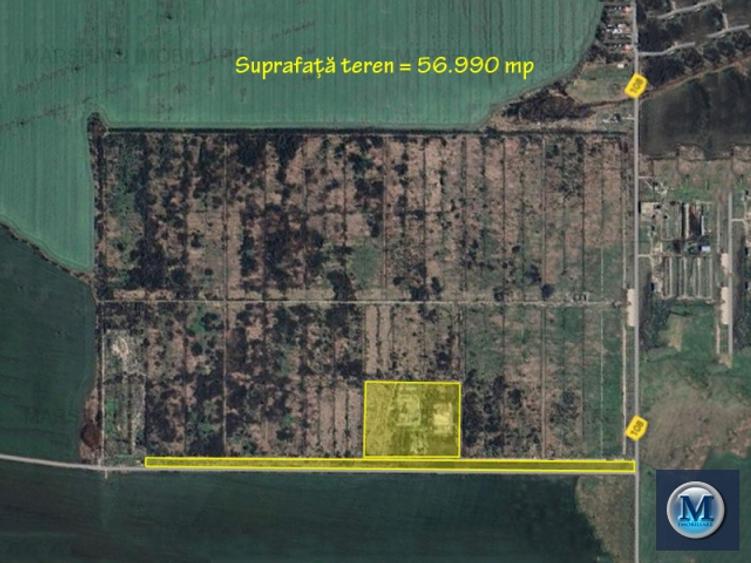 Teren intravilan de vanzare, zona Exterior Sud, 61124 mp #16562