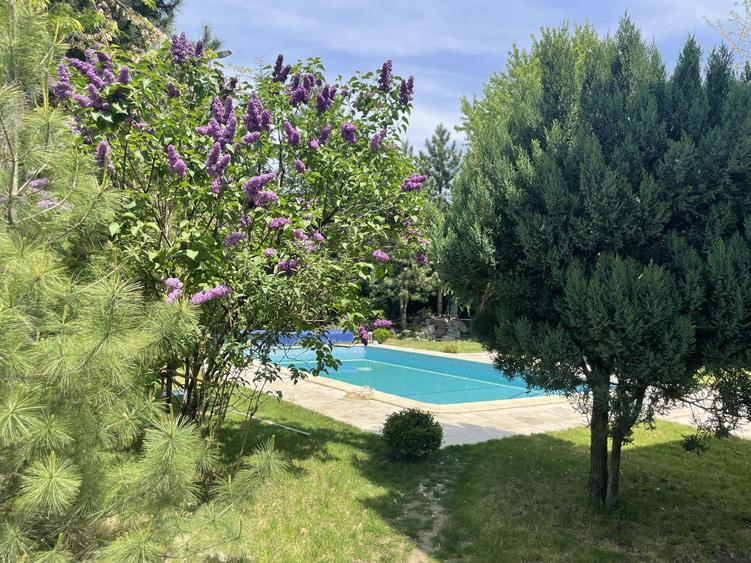 Vila Individuala in zona Iancu Nicolae, Teren 1000 mp