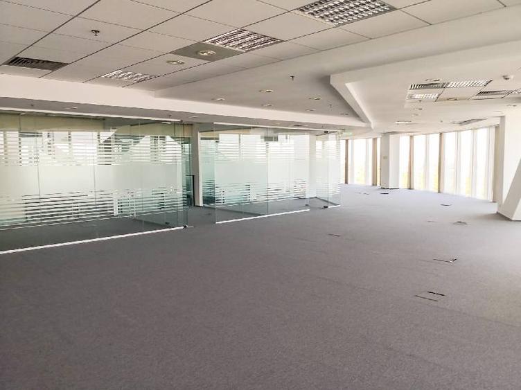 Charles de Gaulle Plaza, Aviatorilor, 298 mp 0% comision!