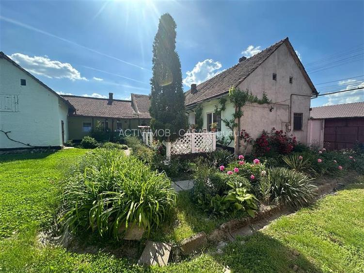 Bocsa Montana, Casa mare la strada principala - 26