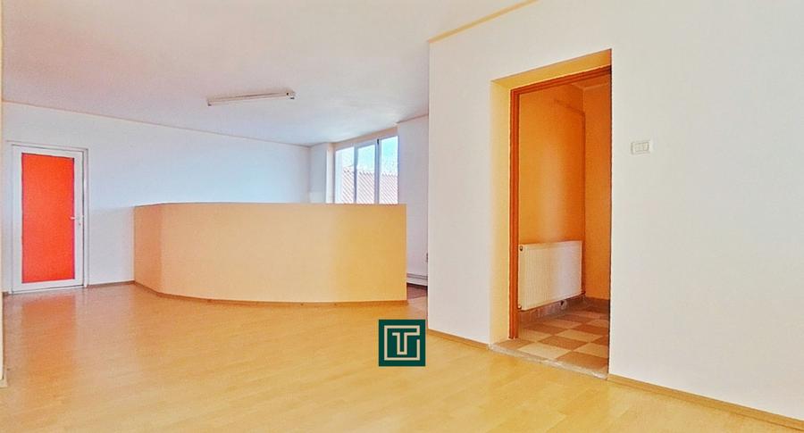 Clădire cu 10 camere în Aradul Nou – ideală pentru investiție/afaceri