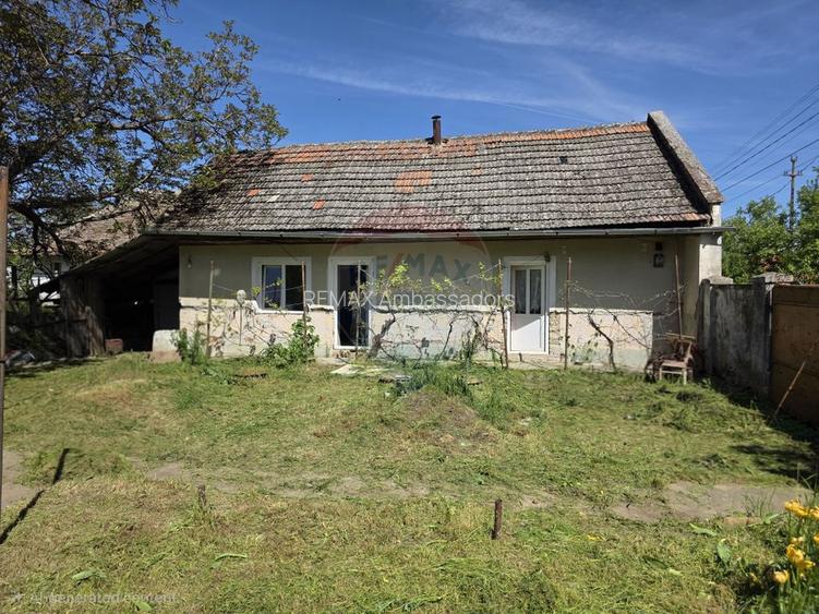 Gospodarie de vanzare in Giulvaz, judetul Timis - 15
