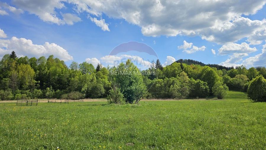 Teren intravilan 9,010mp Campulung Moldovenesc / Calea Bucovinei, SV - 10