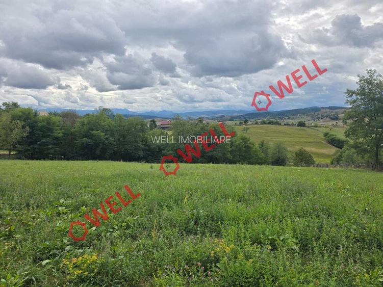 Teren de vânzare în Barcani, pe strada Almaș! - 5
