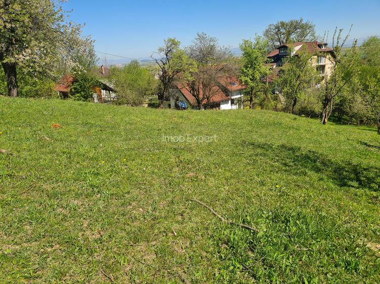 Teren deosebit - 1500 mp, Poiana Angelescu, Str. Livezii - 2