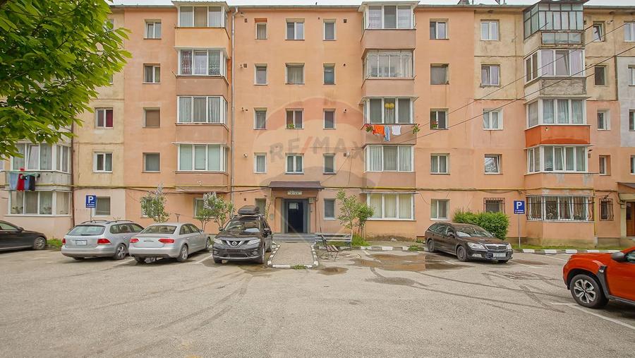 Apartament 2 camere, luminos, vedere spre Ghimbășel