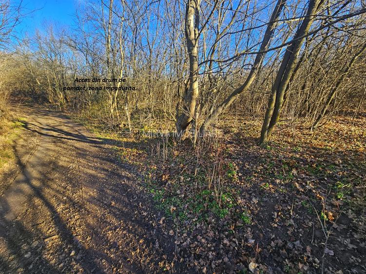 Teren intravilan 2.000 mp – Seciu, 2 deschideri, Priveliște panoramica - 10