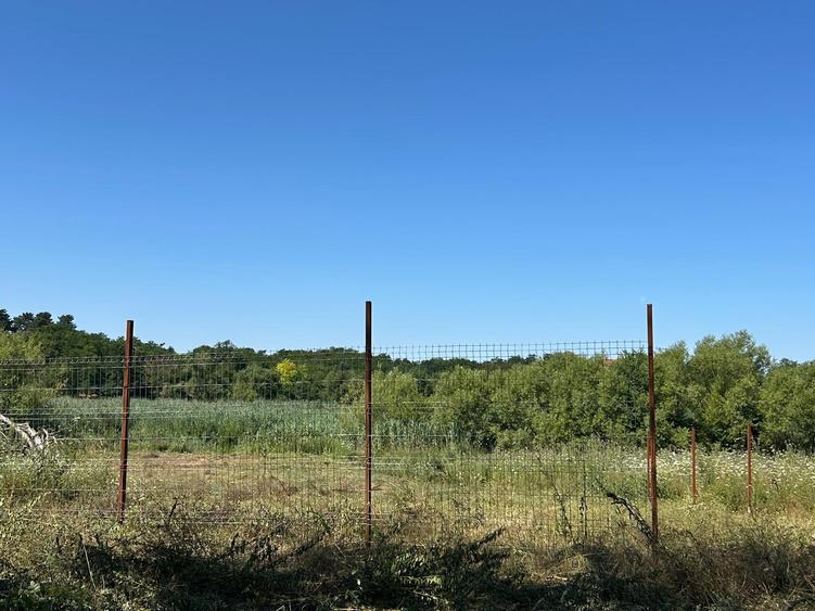 Teren cu deschidere la lac strada Orhideelor- conectare imediata la curent