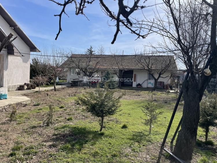 Mitreni-Valea Rosie-Acasa la Tara -4 camere-178 mp-LOT  1000 mp+Casa secundara - 34