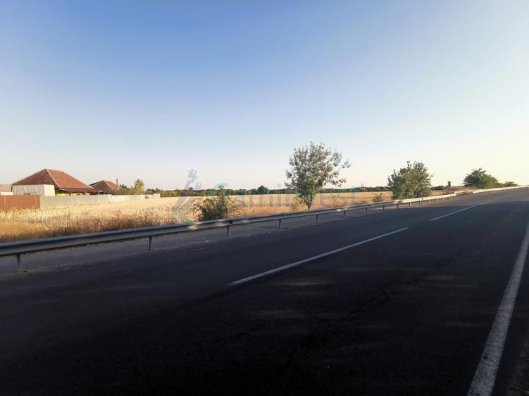 Teren intravilan de vanzare 9800 mp, Salonta, Bihor