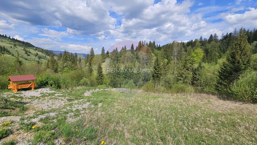 Teren 4048mp Campulung Moldovenesc, Strada Izvorul Alb, Suceava - 16