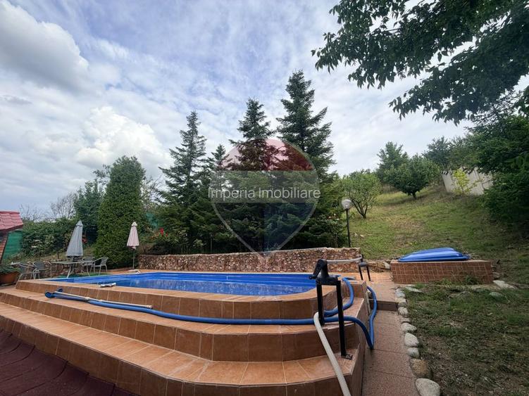 Leamna de sus, casa cu piscina, 2000mp - 8
