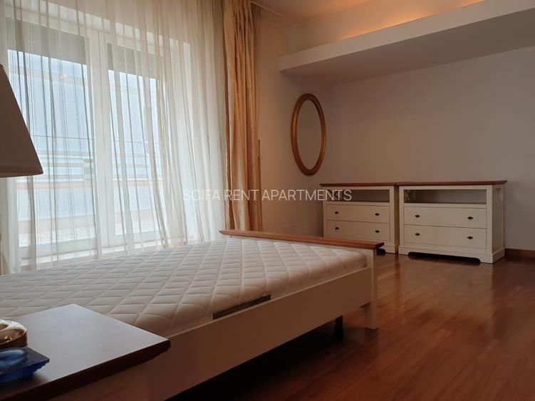 Vanzare apartament penthouse Gradina Icoanei - 11