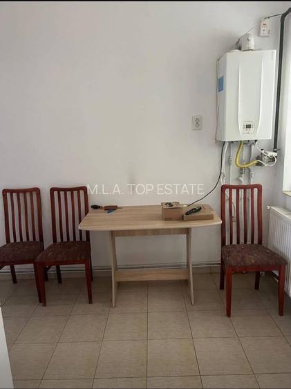 Apartament 1 camera central de inchiriat - 2