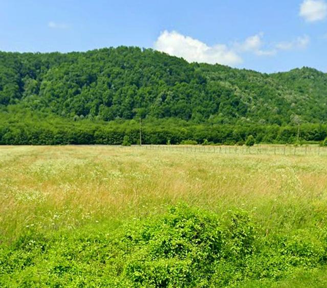 Vanzare teren intravilan 3000 mp, deschidere 28 m cu utilități Măgureni, Prahova