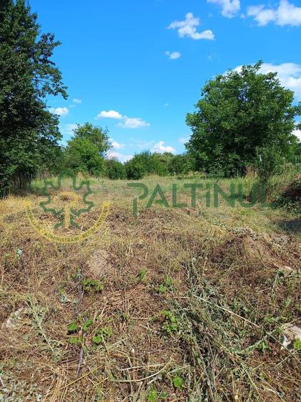 Casă cu teren 1.647 mp de vânzare – Hașag, Sibiu