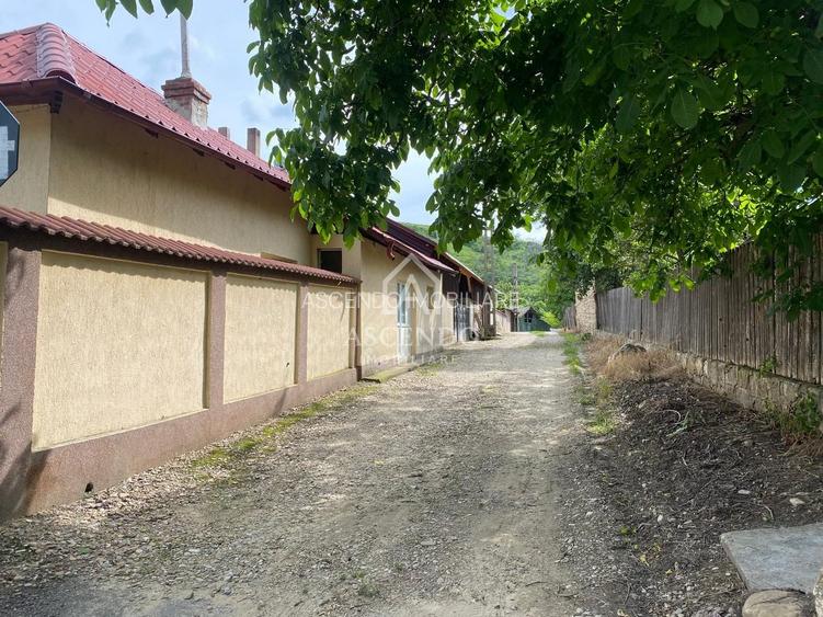 Domeniu 15.900 mp în Fințești | Casă + Investiție Dealu Mare - 24