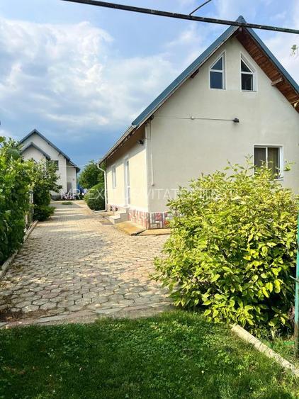 Casa visurilor cu 4000 mp livada roditoare si gradina Darmanesti-Arges - 28