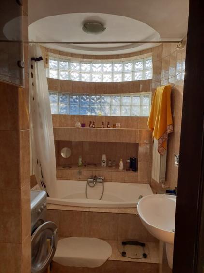 Apartament unic, acces propriu cu o mica terasa Bd. Lascar Catargiu