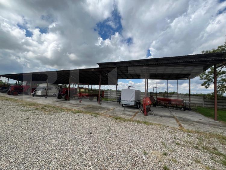 Ferma de bovine - oportunitate pentru investitori sau fermieri profesionisti