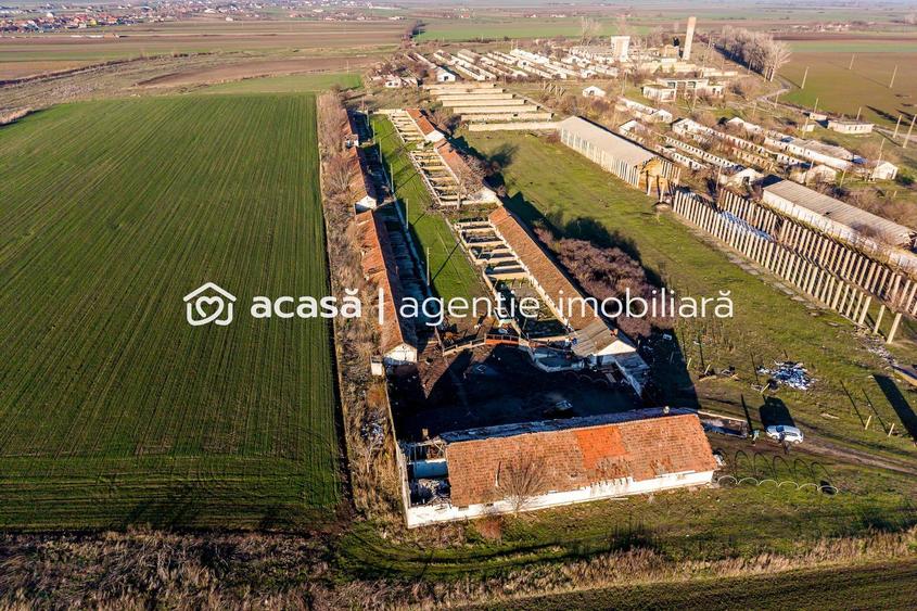 NĂDLAC | Teren 1.15 HA lângă Autostradă | 2.500mp Hale