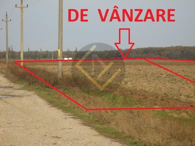 Teren 9Ha -> 16Ha Ha Intravilan , Exit A3 Snagov Ghermanesti Bucuresti-Ploiesti