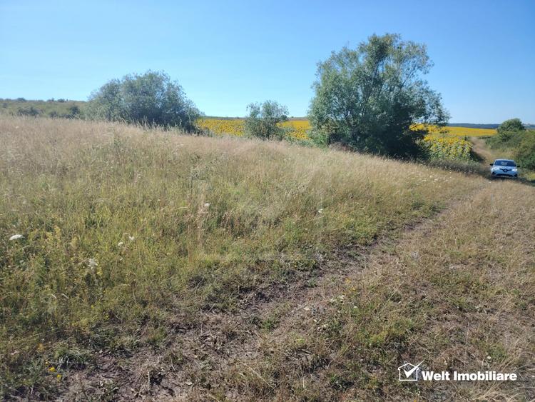 Investitie in natura – 2.900 mp la 16 euro/mp in Macicasu/Chinteni