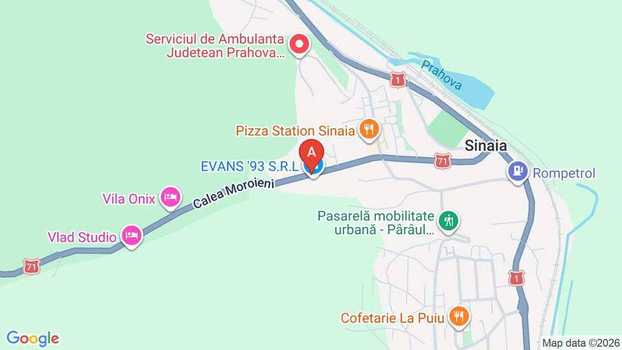 Vila  superba Sinaia, suprafata 627mp cu gradina parc4000 mp
