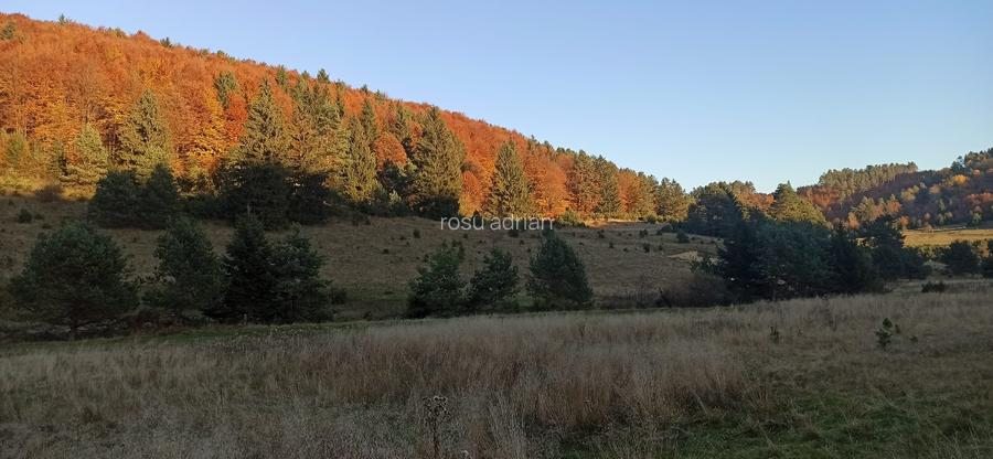 Teren 1810  mp – Zona Brebina, Zărnești . - 3