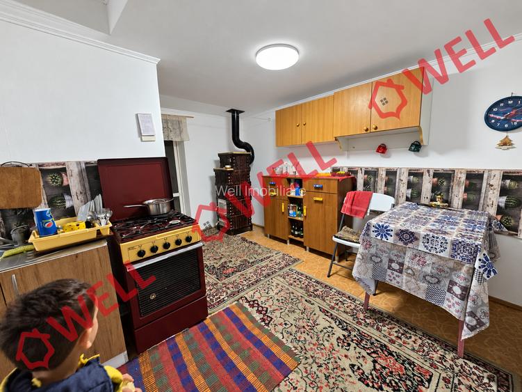 De vânzare casă familială în Teliu! - 9