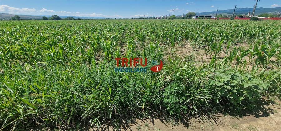 Teren de vanzare langa soseaua de centura, 5100 mp