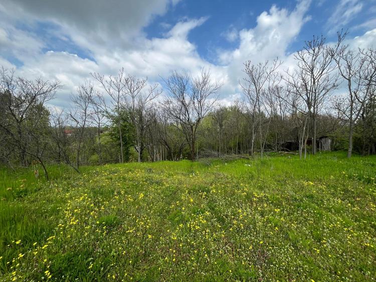 Teren 2117 mp în Malu Mare, cadru natural cu pârâu