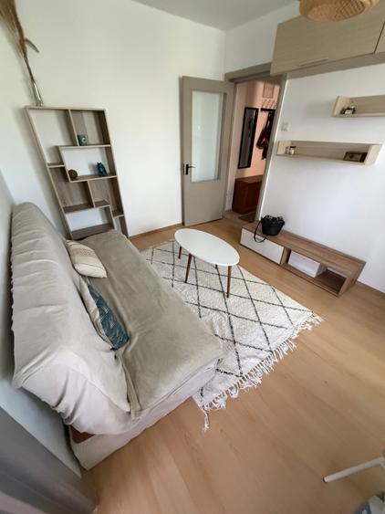 Apartament cochet