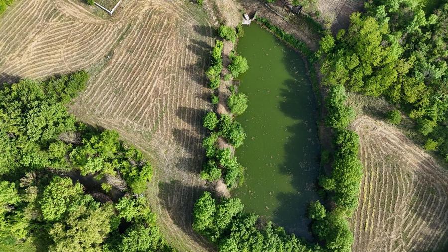 Domeniu de 13.054 mp cu vilă de ~1.000mpc și lac privat Teisori, Bulbucata