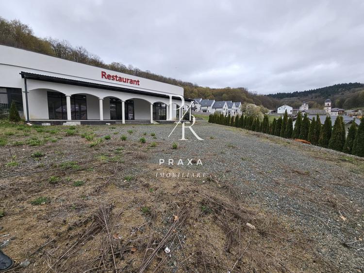 EXCLUSIVITATE! Restaurant de vanzare, Mobilat/Utiliat, 565 mp,cu teren 5.000 mp!