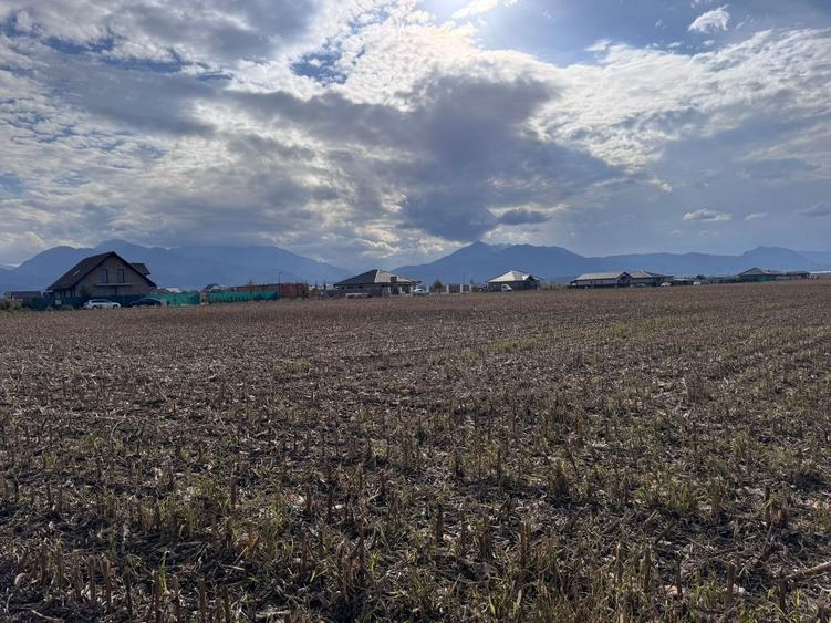 Teren dezvoltare rezidentiala Tarlungeni - zona Izvor